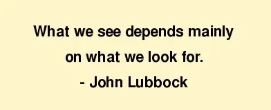look-and-see-and-watch __look-see-watch