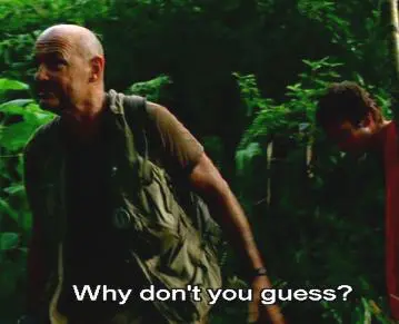 why-don't-vs-why-not why-don't-and-why-not