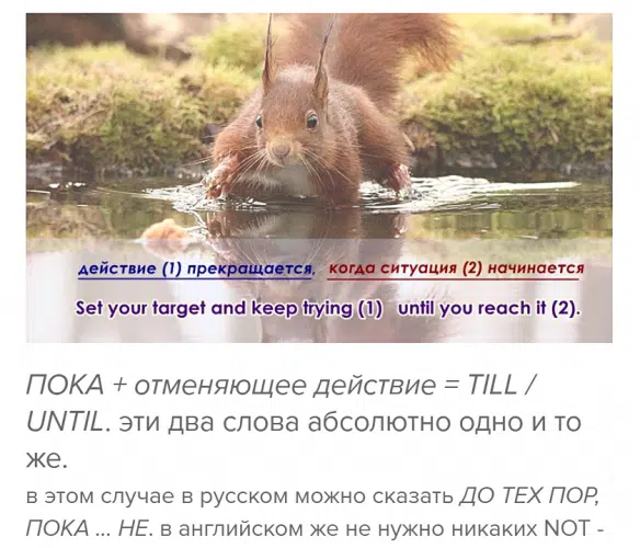 пока while until -