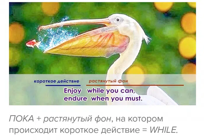 пока while until